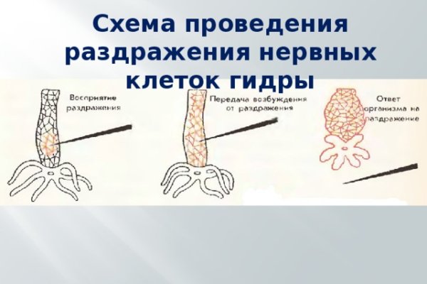 Kraken рабочее зеркало onion